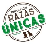 razasunicas profile picture