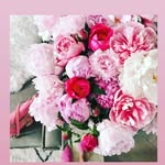 raziya_shaikh26 profile picture