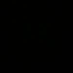 rchhfnds_ profile picture