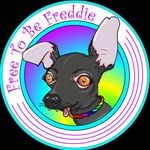 ready_freddie_ profile picture
