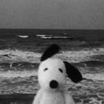 realisticfilm_ profile picture
