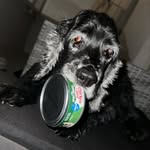 reallucydavis profile picture