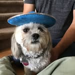 realname85 profile picture