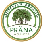 realpranawellness profile picture