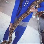 realsaggers profile picture