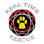 realtimerescue profile picture