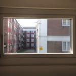 rear.view.window profile picture