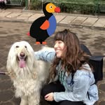 rebecca_thedodo profile picture