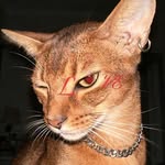 rebekaisx profile picture