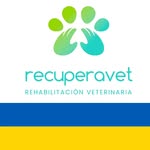 recuperavet profile picture