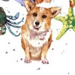 redleatherjacketjanie profile picture