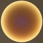 reece_charlton profile picture