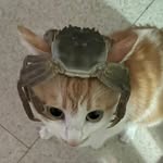 reeddacted profile picture