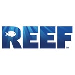 reef_org profile picture