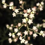reelforme123 profile picture