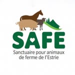 refugesafe.qc profile picture