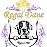 regal_dane_rescue profile picture