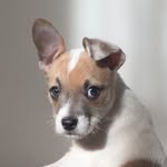 regardshenry profile picture