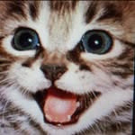 regenboogy profile picture