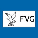 regionefvg profile picture