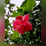 rehan59807 profile picture