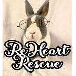 reheartrescue profile picture