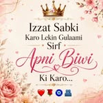 rehnuma_idrisi2 profile picture