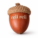 reiireii.official profile picture
