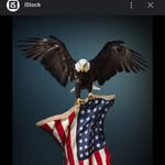 reina_green0 profile picture