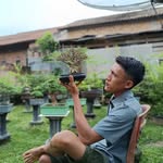 rendybonsai88 profile picture