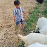 rengga_febrianto profile picture