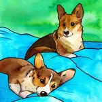 rennythemonstercorgi profile picture