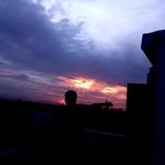 renu__yadvv profile picture