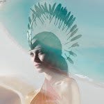 renykestel profile picture
