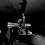 renz.61 profile picture