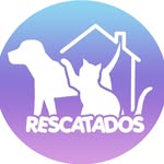 rescatados_cartagena profile picture