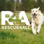 rescue4all profile picture