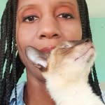rescuealwaysofficial profile picture