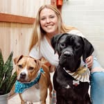 rescue_and_reactivity profile picture
