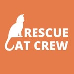 rescuecatcrew_ profile picture