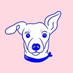 rescue_club profile picture