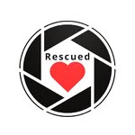 rescuedbyloveproject profile picture