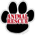 rescueme411 profile picture