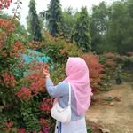 reshmi_khatun_77 profile picture