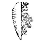 restaurantlebnyc profile picture