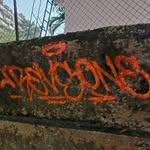 revs_one_india profile picture