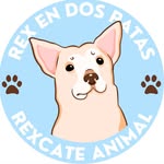 rex.adopciones profile picture