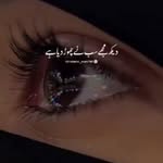 reyaj_ahmad_0001 profile picture