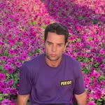 reymoreira profile picture