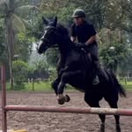 rezaditya17 profile picture